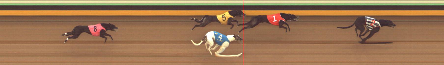 Race result finish photo